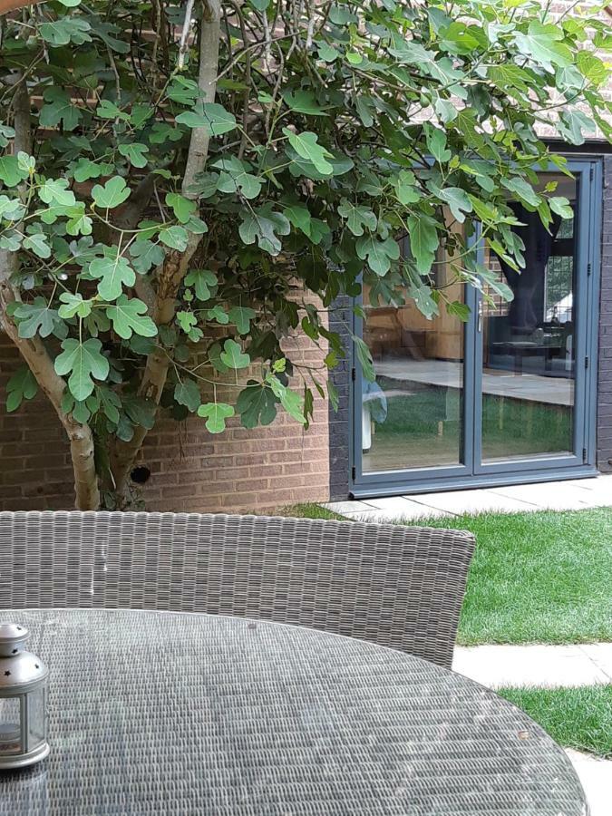 The Mills Guesthouse Hatfield  Exteriér fotografie